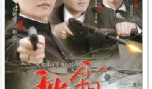 秋霜电视剧,风雨飘摇中的家国情怀