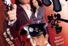 警匪电视剧大全,揭秘电视剧中的正义之战